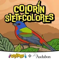 Colorín sietecolores: pequeño viajero colorido
