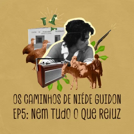 Nem Tudo o que Reluz