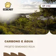 [#ESPECIAL CARBONO] Carbono e Água