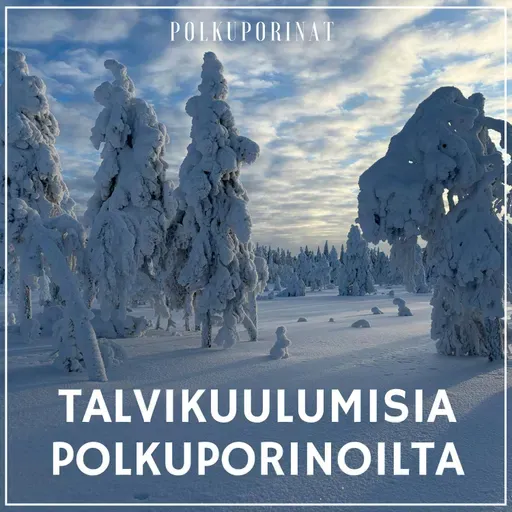 Talvikuulumisia Polkuporinoilta