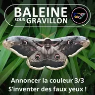 S07E168 Annoncer SA couleur 3/3 : Quand et pourquoi le Vivant s'est emparé des couleurs ?