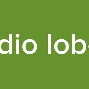 radio lobos