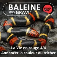 S07E50 La vie en... rouge 4/4 : Annoncer la couleur ou tricher ? (Frédéric Archaux)