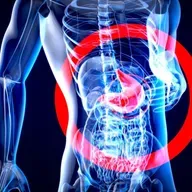 ¿Qué es la microbiota? Su impacto en nuestra salud física y emocional