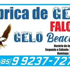 Rádio falcon gelo Beach