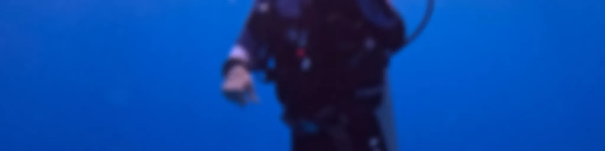 Les Plongeurs Padawan, le podcast de la plongée sous-marine