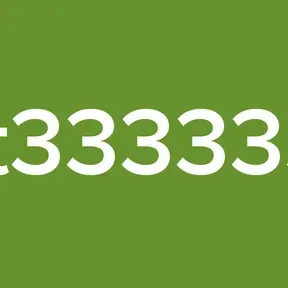 tt333333