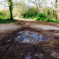 Gathering the beauty from the ground