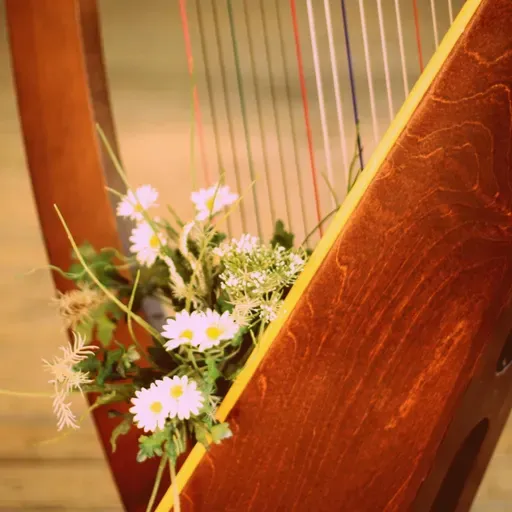 AVANCE!! Cuerdas de viento y arena:Arpa + Viento desierto ️ ️