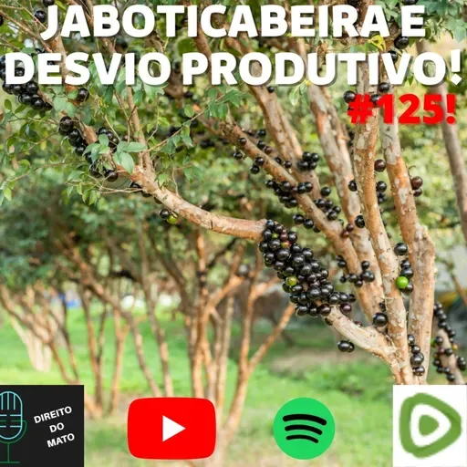 JABOTICABEIRA E DESVIO PRODUTIVO