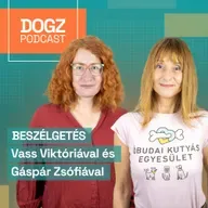 Így lesz a póráz kommunikációs eszköz a kezedben