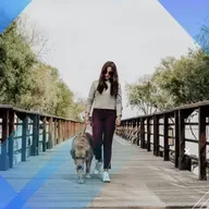 A saúde humana e dos animais de estimação