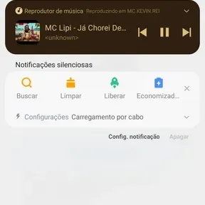 Mc lipi