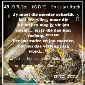 Parashat Ki tetze
