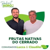 Do pé ao palito: como o cerrado vira picolé artesanal? #384