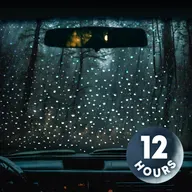 Rain on a Car Window | 12 Hour Rain Noise for Sleeping