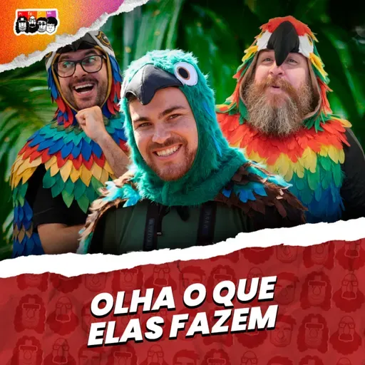 Razões para se tornar um OBSERVADOR DE AVES