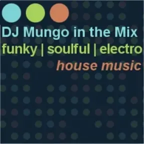 DJ Mungo In The Mix