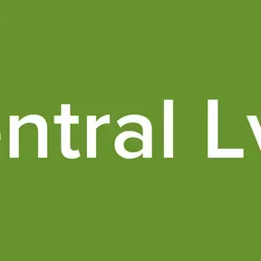 Central Lv 2