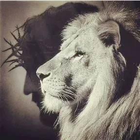 DIOS ES FIEL OFICIAL