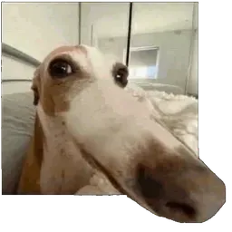 chmielny