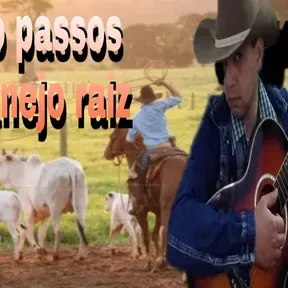 radio passos abc sertanejo raiz