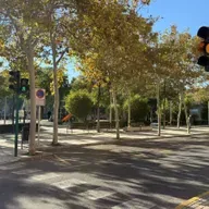 El PSOE de Elche: "No se crean aparcamientos mientras se habilitan zonas para vehículos oficiales que no se usan"