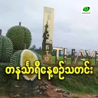 ဖေဖော်ဝါရီလ ၂၃ရက် တနင်္သာရီနေ့စဉ်သတင်း အစီအစဉ်