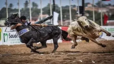 Balada do Vaqueiro- Top 5 - Forró e Vaquejada