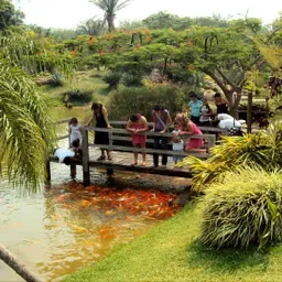 RADIO BELLA FLOR