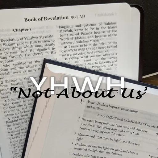 Genesis Study 44