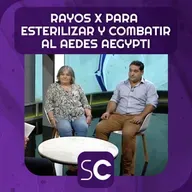 Rayos X para esterilizar y combatir al Aedes aegypti