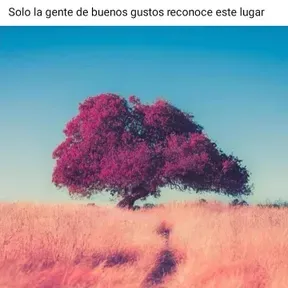 Regueton