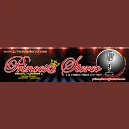 Princesa Stereo en vivo