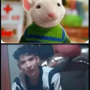 Lucas88