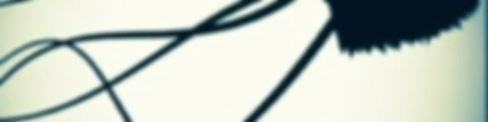 "La caricia de las medusas"