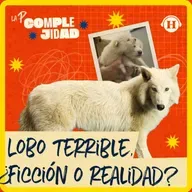 Como en Jurassic Park: "reviven" al lobo terrible, ¿qué implicaciones tiene este experimento?
