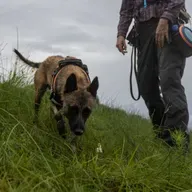 Ep. 556 - From Seeds to Plants: A Plant Conservation Pipeline