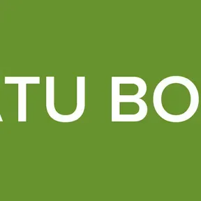 TATU BOLA
