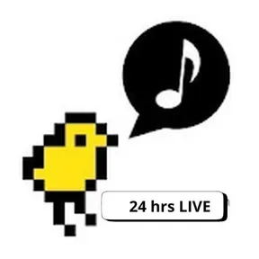 Radio Vanguardista 24 hrs live