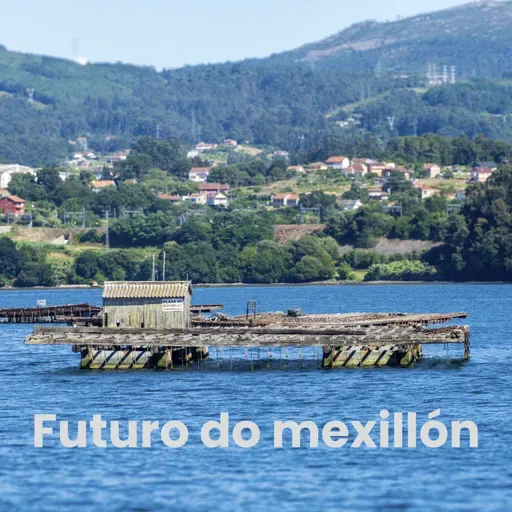 Efer 739 (31-3-26): O futuro do mexillón