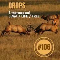 #106 – Drops: É Tretaaa! Entenda: Lima, Life e Free