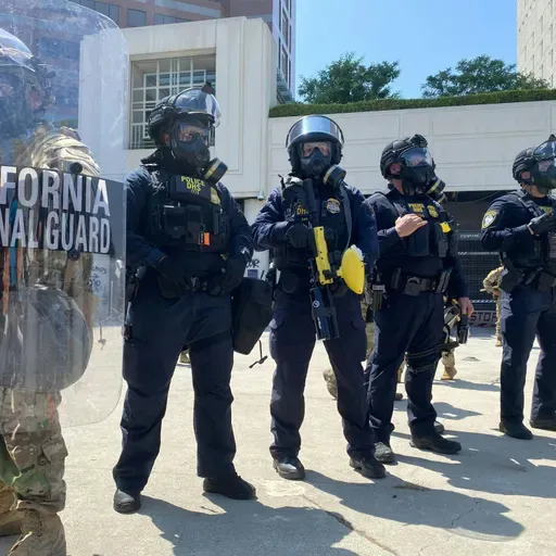 Fire and ICE in Los Angeles