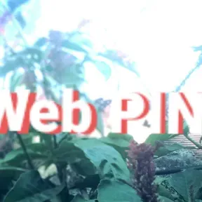 Rádio Web Pinheiro