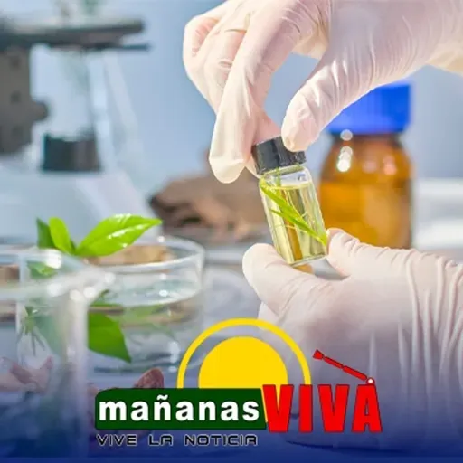 Doctor Marrion Ibarra – Portafolio de servicios medicina alternativa en Ipiales