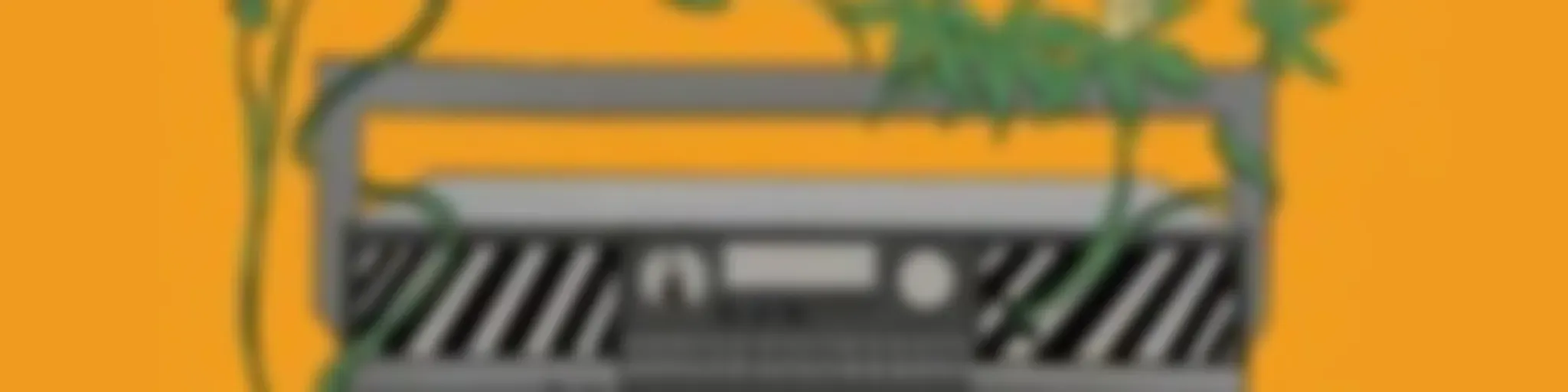 La Semilla a través del Muro