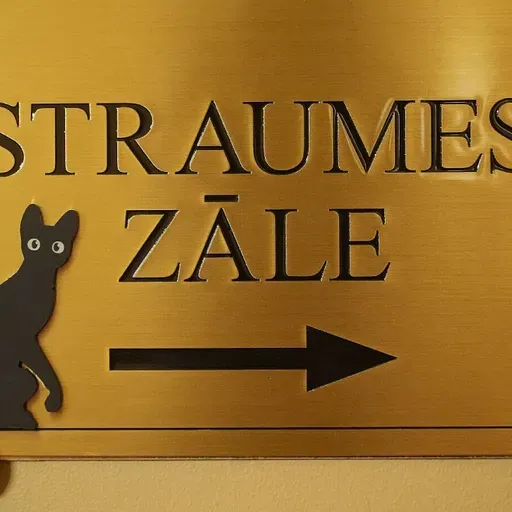 Dzīve pēc "Straumes" panākumu virpuļa. Tiekamies ar filmas "aizkadra" komandu