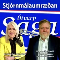 Stjórnmálaumræðan - Sigmundur Davíð Gunnlaugsson