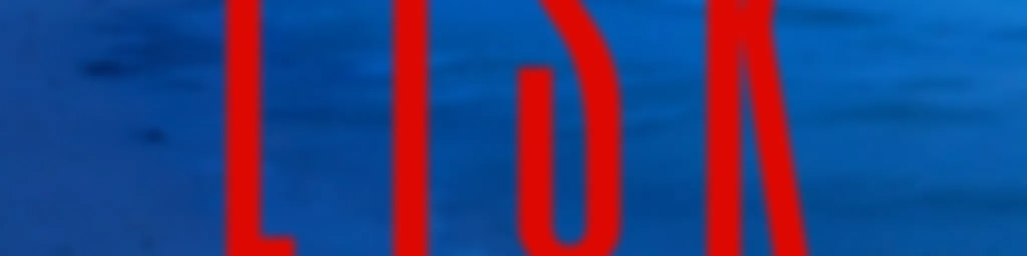 LISK: Long Island Serial Killer