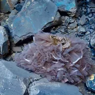 polvo